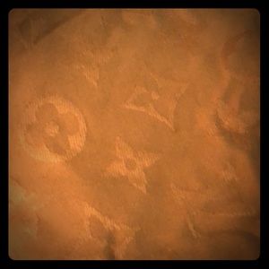 Louis Vuitton Monogramdune scarf